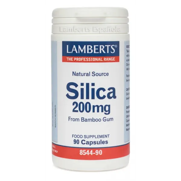 Lamberts Silica 200 Mg 90 Caps