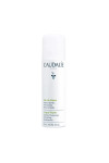 Caudalie Grape Water 75ml