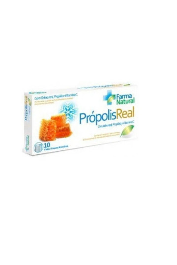 Propolis Real 10 Vials Ynsadiet