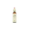 Santiveri Bach Elm 10ml