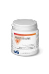Pileje Multibiane 120 Capsules