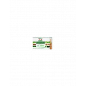 Equilibra Hairloss Strengthening 10x 8ml