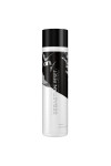 Sebastian Professional Reset Shampoo 250ml