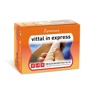 Plameca Vittal In Express