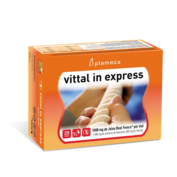Plameca Vittal In Express