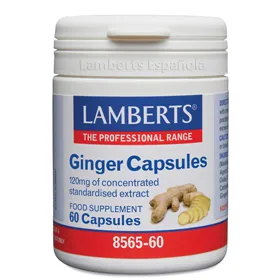 Lamberts Ginger Extracto Jengibre 60 Caps