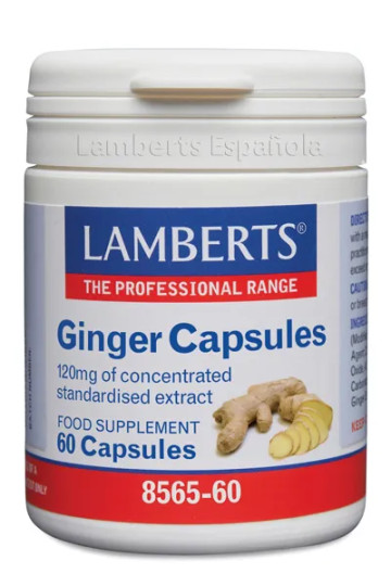 Lamberts Ginger Extracto Jengibre 60 Caps