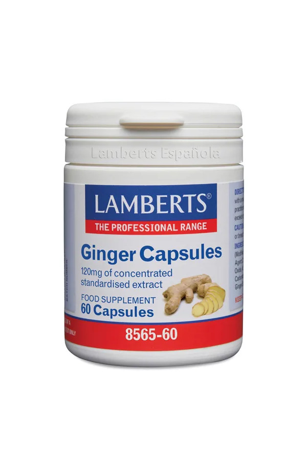 Lamberts Ginger Extracto Jengibre 60 Caps