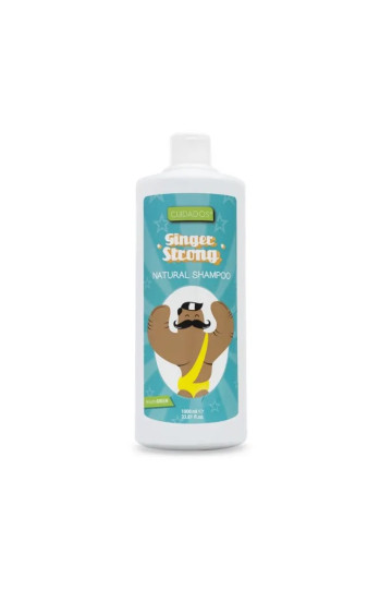 Valquer Ginger Ginger Strong Shampoo 1000ml
