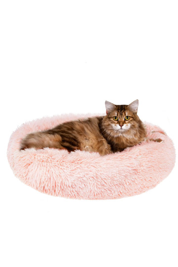 Des Rexona Algodon Rollon 50