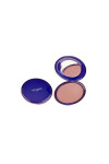 Bronzing Pressed Powder Cuivré 3