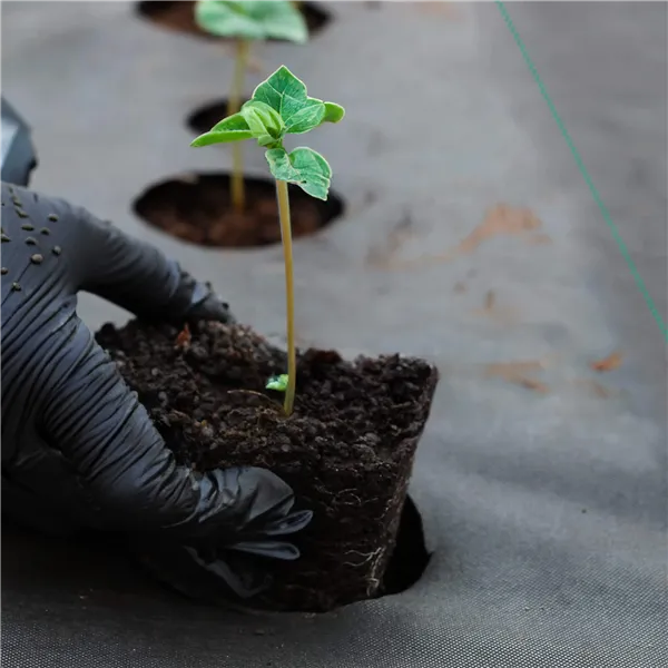 Real Techniques Mini Miracle Powder Puff Trio 3 U