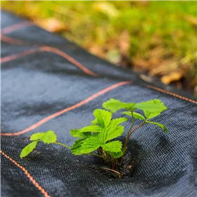 Opi Xpress-On - Colección Wicked - Uñas Artificiales Know Your Power 30 U