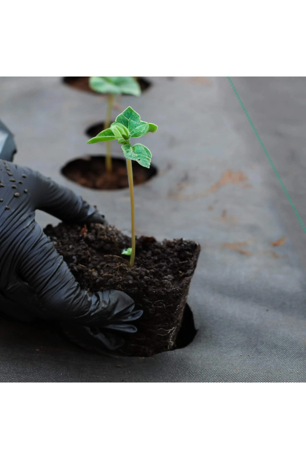 Nivea Gel 650ml Cr Care