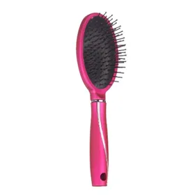 Brush Fuchsia Silicone Plastic (24 Units)