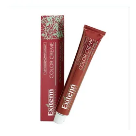 Permanent Dye Color Creme Exitenn Nº 124 (60 ml)