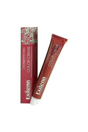 Permanent Dye Color Creme Exitenn (60 ml)