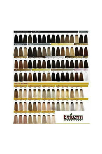 Permanent Dye Color Creme Exitenn (60 ml)