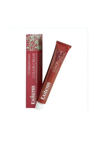 Permanent Dye Color Creme Exitenn (60 ml)