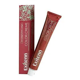 Permanent Dye Color Creme Exitenn Nº 10001 (60 ml)