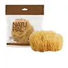 Body Sponge Suavipiel
