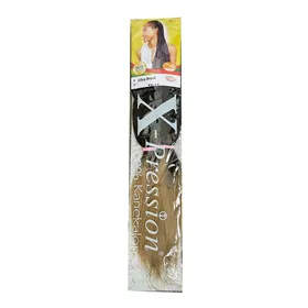Hair extensions X-Pression Nº T2/27
