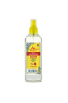 Alvarez Gómez Hydroalcoholic Spray 300ml