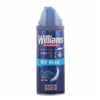 Shaving Gel Expert Ice Blue Williams (200 ml)