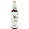 Bach 02 Aspen 20ml