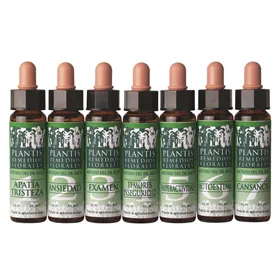 Artesania Plantis 19 Alerce 10ml