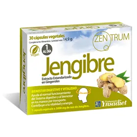 Ynsadiet Zentrum Jengibre 30 Caps